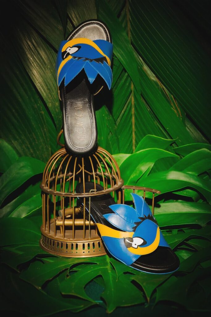 flat arara azul rio