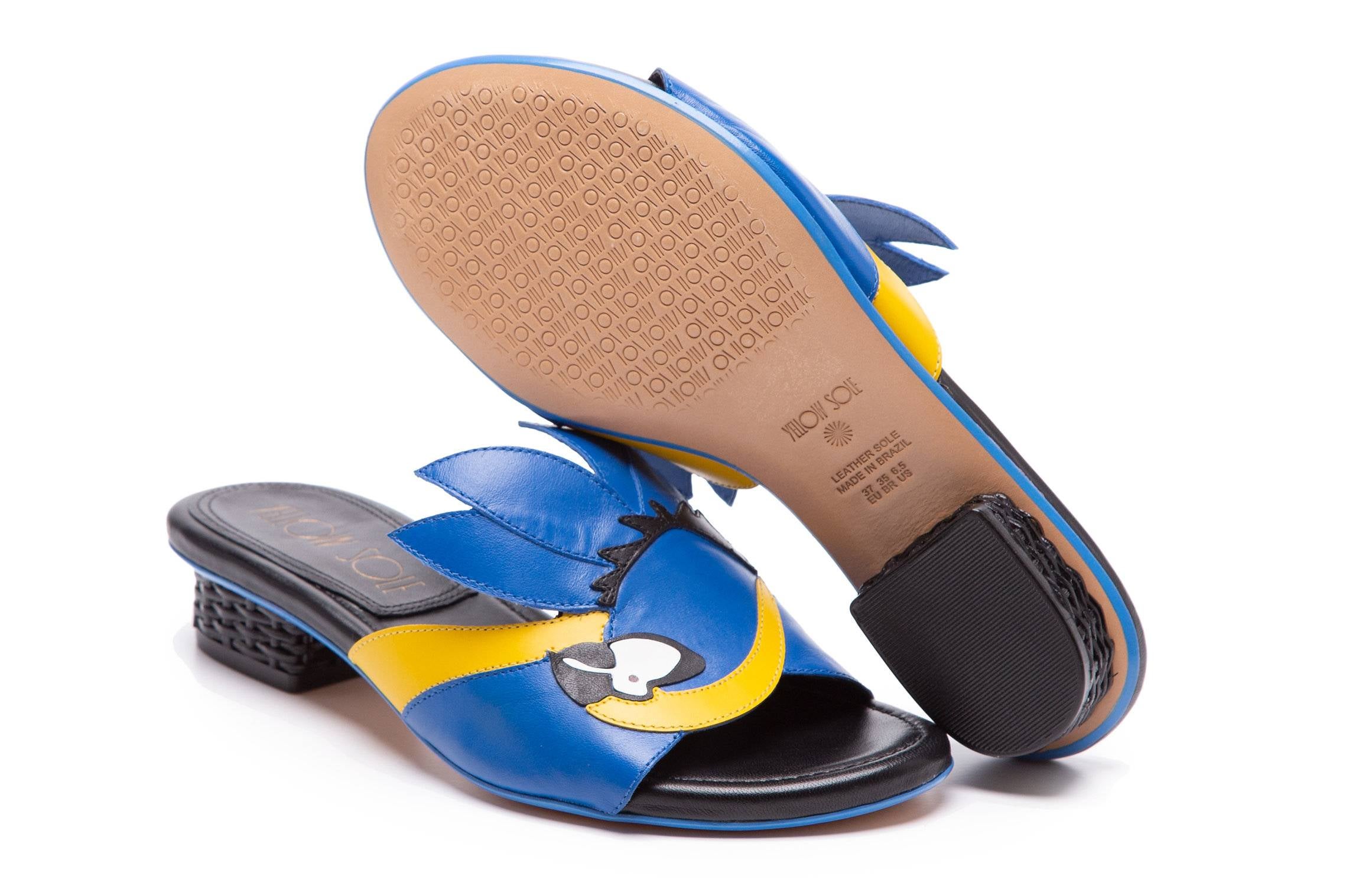 flat-arara-azul-rio4_4_11zon